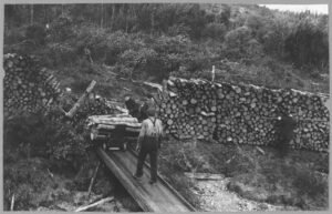 wood