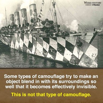 “Well, if this is NOT camouflage, what is it?”